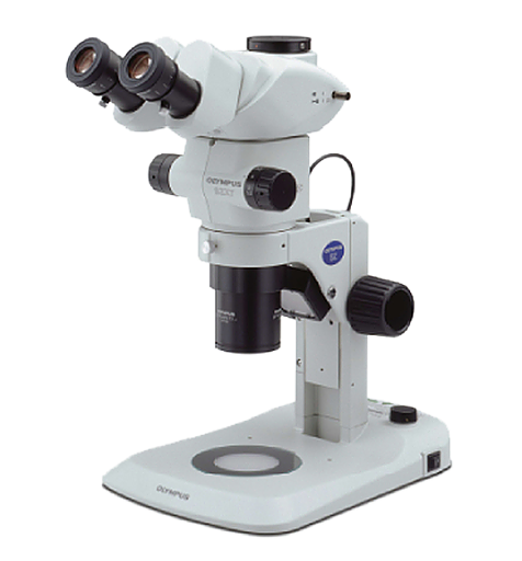 実体顕微鏡