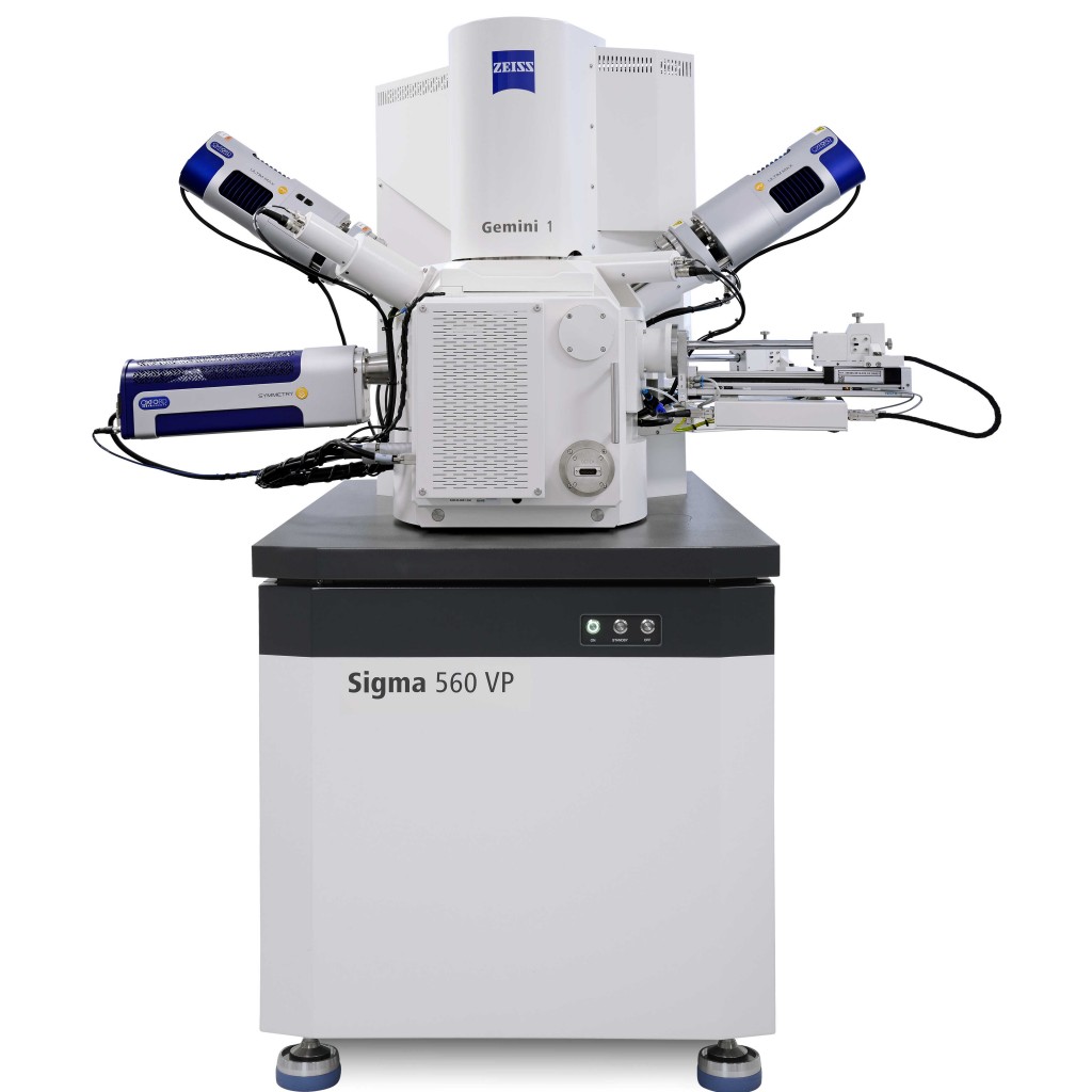 電界放出型走査電子顕微鏡（FE-SEM）
